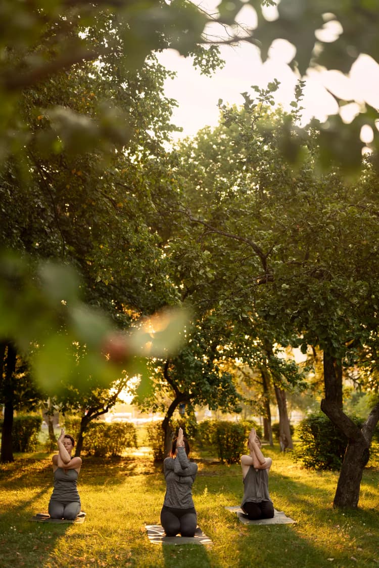 Yoga a természetben Kép